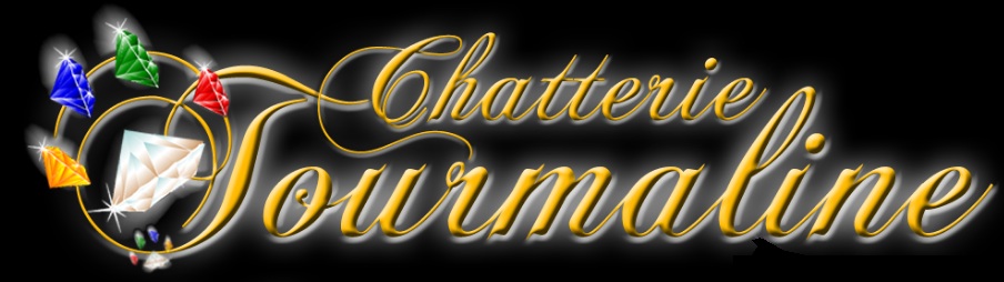 logo Chatterie Tourmaline