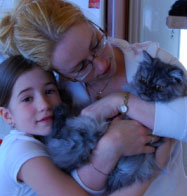 tourmaline soins des chats chatons et presence continue de la famille a la maison