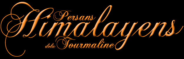 tourmaline titre himalayen