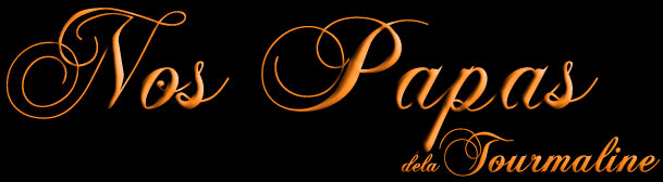tourmaline titre les papas de la tourmaline