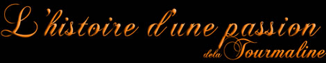 tourmaline l'histoire d'une passion of la tourmaline
