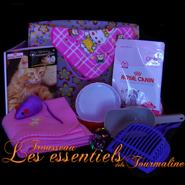 tourmaline trousseau de depart nouveau chaton